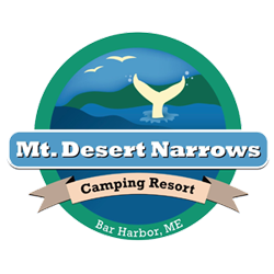 Mt. Desert Narrows